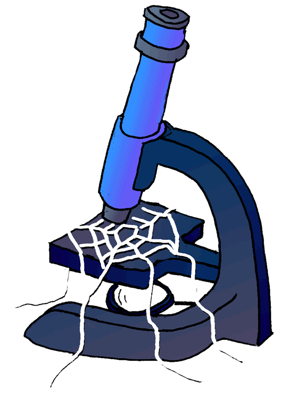 Microscope